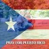chilo35
